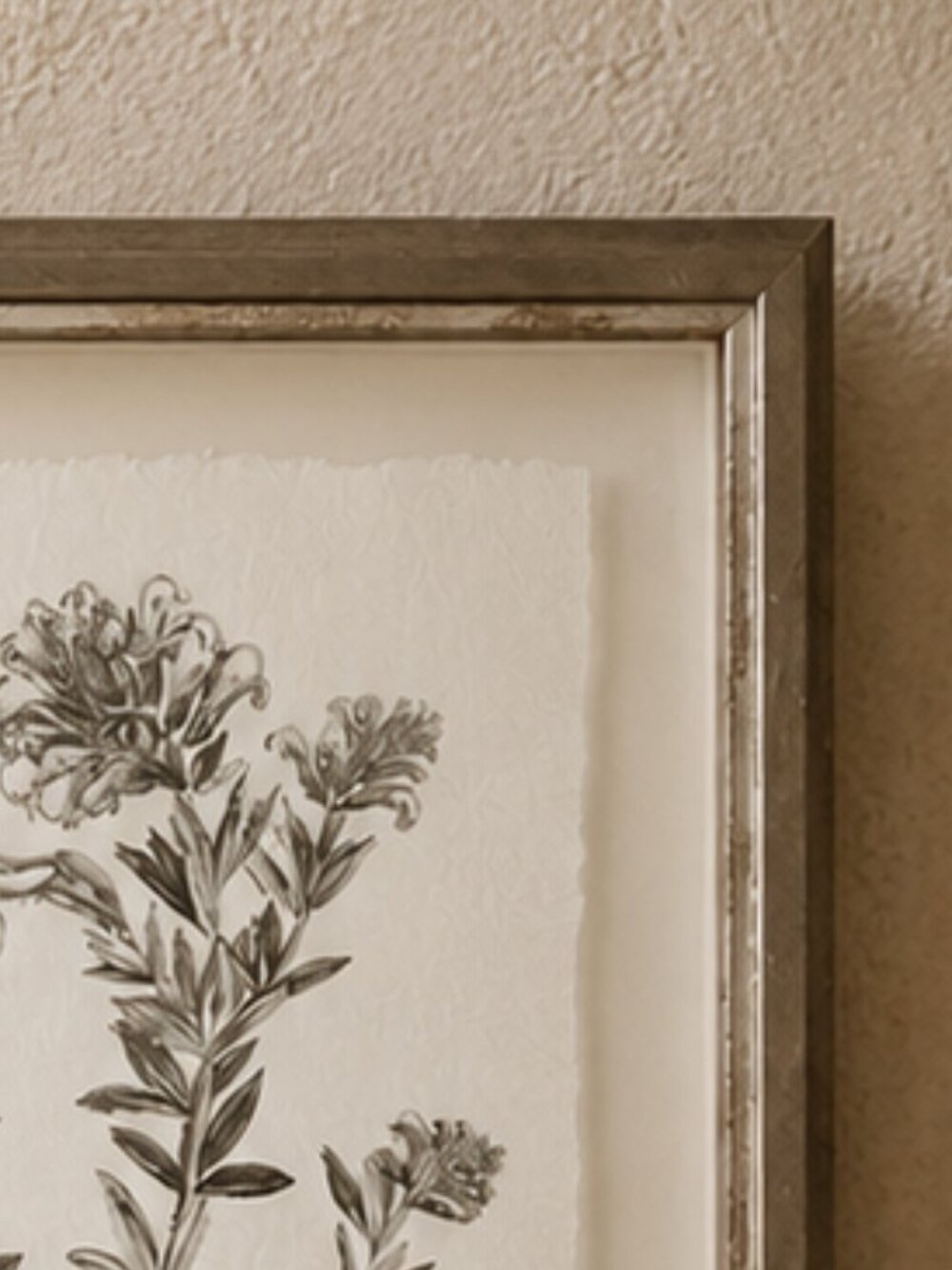 Botanical Study in Sage Floral Illustration Framed Wall Art Print - Picture 4 of 7